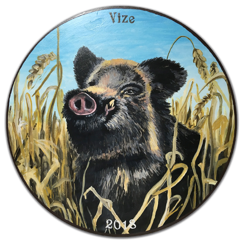 2018 westercelle vizescheibe kristina malzahn