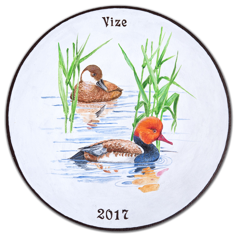 2017 westercelle vizescheibe kristina malzahn